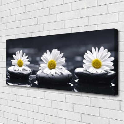 Quadro canvas Planta Daisy Stones