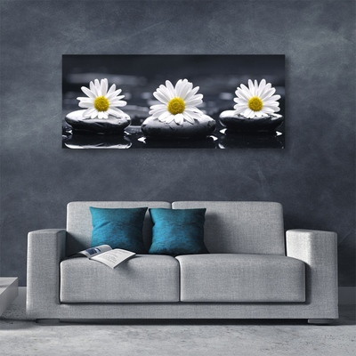 Quadro canvas Planta Daisy Stones