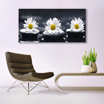 Quadro canvas Planta Daisy Stones