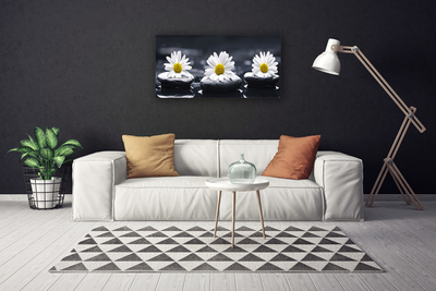 Quadro canvas Planta Daisy Stones