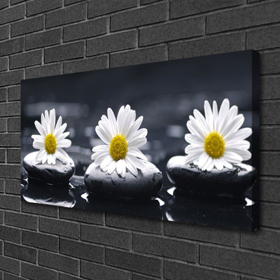 Quadro canvas Planta Daisy Stones