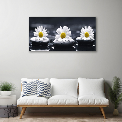 Quadro canvas Planta Daisy Stones
