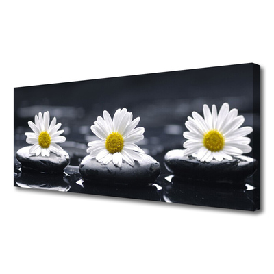 Quadro canvas Planta Daisy Stones