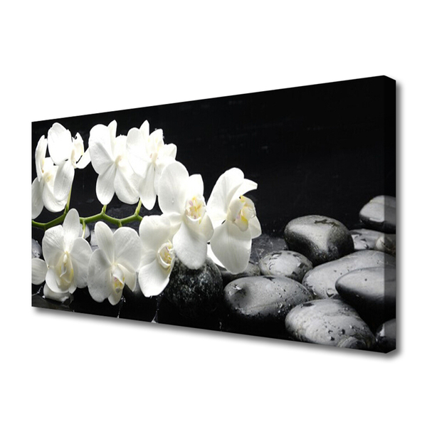 Quadro em tela Planta de pedras de flores