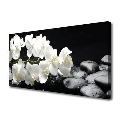 Quadro em tela Planta de pedras de flores