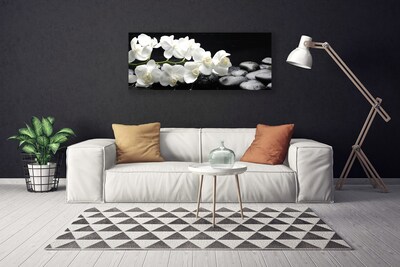 Quadro em tela Planta de pedras de flores