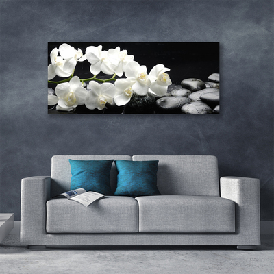 Quadro em tela Planta de pedras de flores