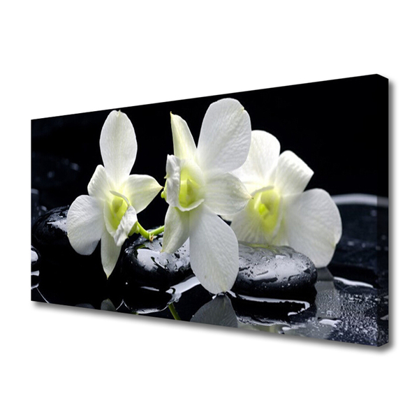 Quadro canvas Flor de orquídea branca