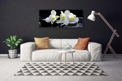 Quadro canvas Flor de orquídea branca