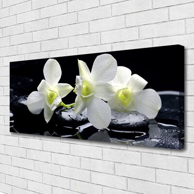 Quadro canvas Flor de orquídea branca
