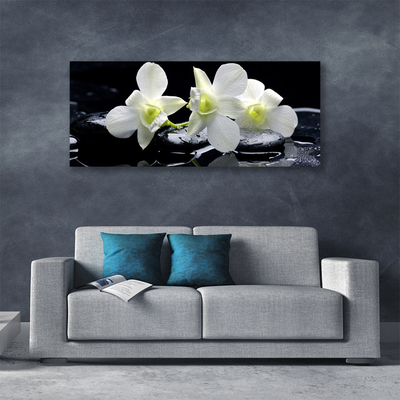 Quadro canvas Flor de orquídea branca