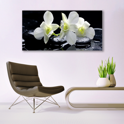 Quadro canvas Flor de orquídea branca
