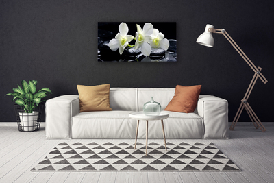 Quadro canvas Flor de orquídea branca