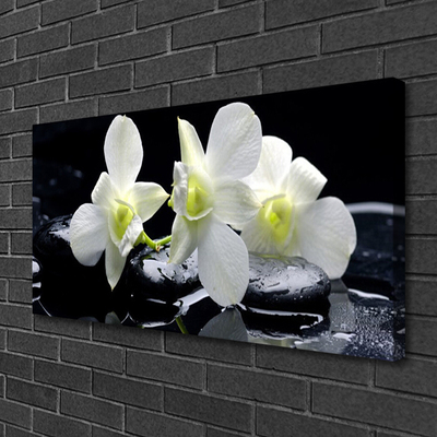 Quadro canvas Flor de orquídea branca