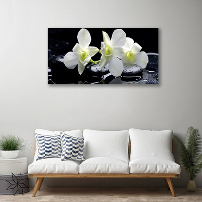 Quadro canvas Flor de orquídea branca