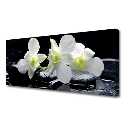 Quadro canvas Flor de orquídea branca