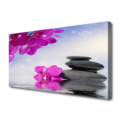 Quadro canvas Flores Planta Orquídea