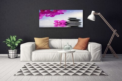 Quadro canvas Flores Planta Orquídea