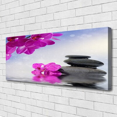 Quadro canvas Flores Planta Orquídea