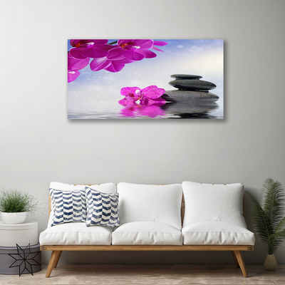Quadro canvas Flores Planta Orquídea