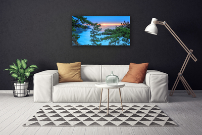 Quadro em tela Árvores Natureza