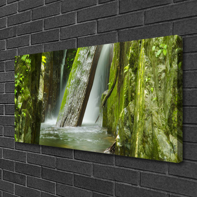 Quadro em tela Cachoeira da Natureza
