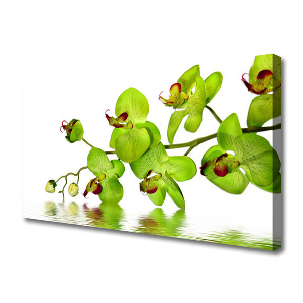 Quadro canvas Flores Planta Natureza