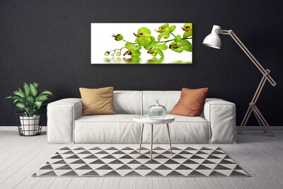 Quadro canvas Flores Planta Natureza