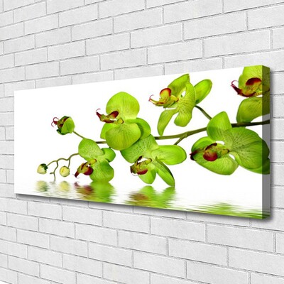 Quadro canvas Flores Planta Natureza