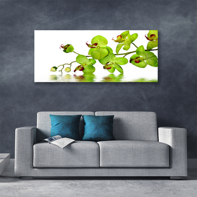 Quadro canvas Flores Planta Natureza
