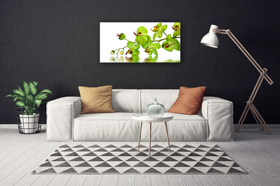 Quadro canvas Flores Planta Natureza