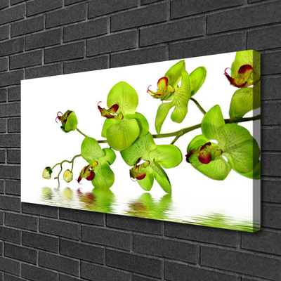 Quadro canvas Flores Planta Natureza