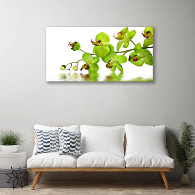 Quadro canvas Flores Planta Natureza