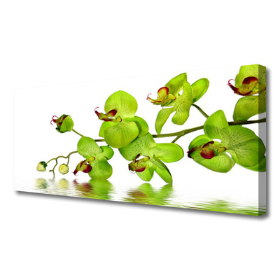 Quadro canvas Flores Planta Natureza