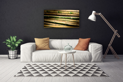Quadro canvas Natureza da planta de bambu
