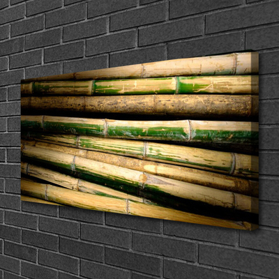 Quadro canvas Natureza da planta de bambu