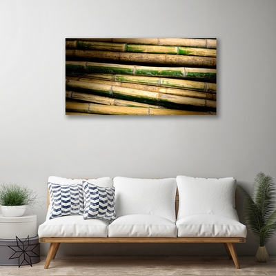 Quadro canvas Natureza da planta de bambu