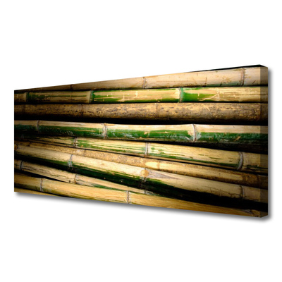 Quadro canvas Natureza da planta de bambu