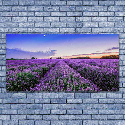 Quadro em tela Flores do Prado Natureza Planta