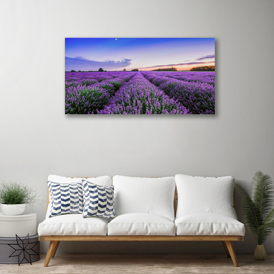 Quadro em tela Flores do Prado Natureza Planta