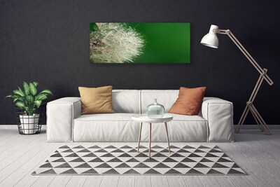 Quadro em tela Planta dente-de-leão