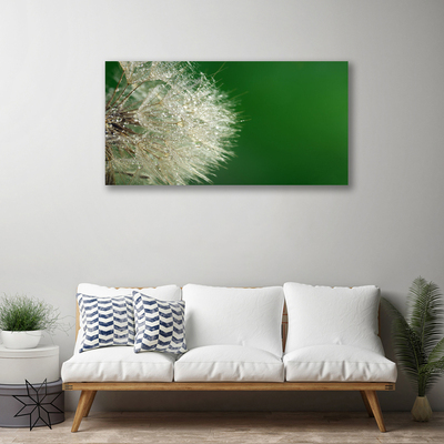 Quadro em tela Planta dente-de-leão