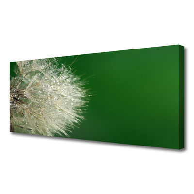 Quadro em tela Planta dente-de-leão