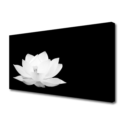 Quadro canvas Flor Planta Natureza