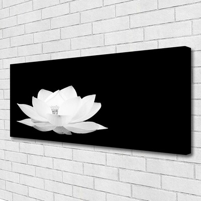 Quadro canvas Flor Planta Natureza
