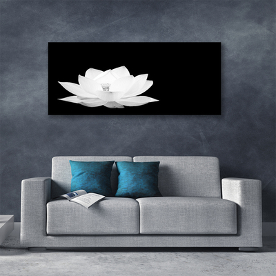 Quadro canvas Flor Planta Natureza