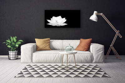 Quadro canvas Flor Planta Natureza