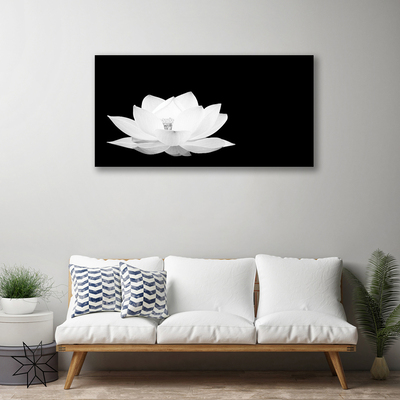 Quadro canvas Flor Planta Natureza