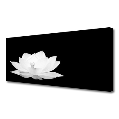 Quadro canvas Flor Planta Natureza
