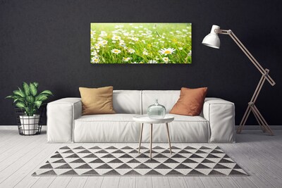 Quadro canvas Natureza do Prado Daisy